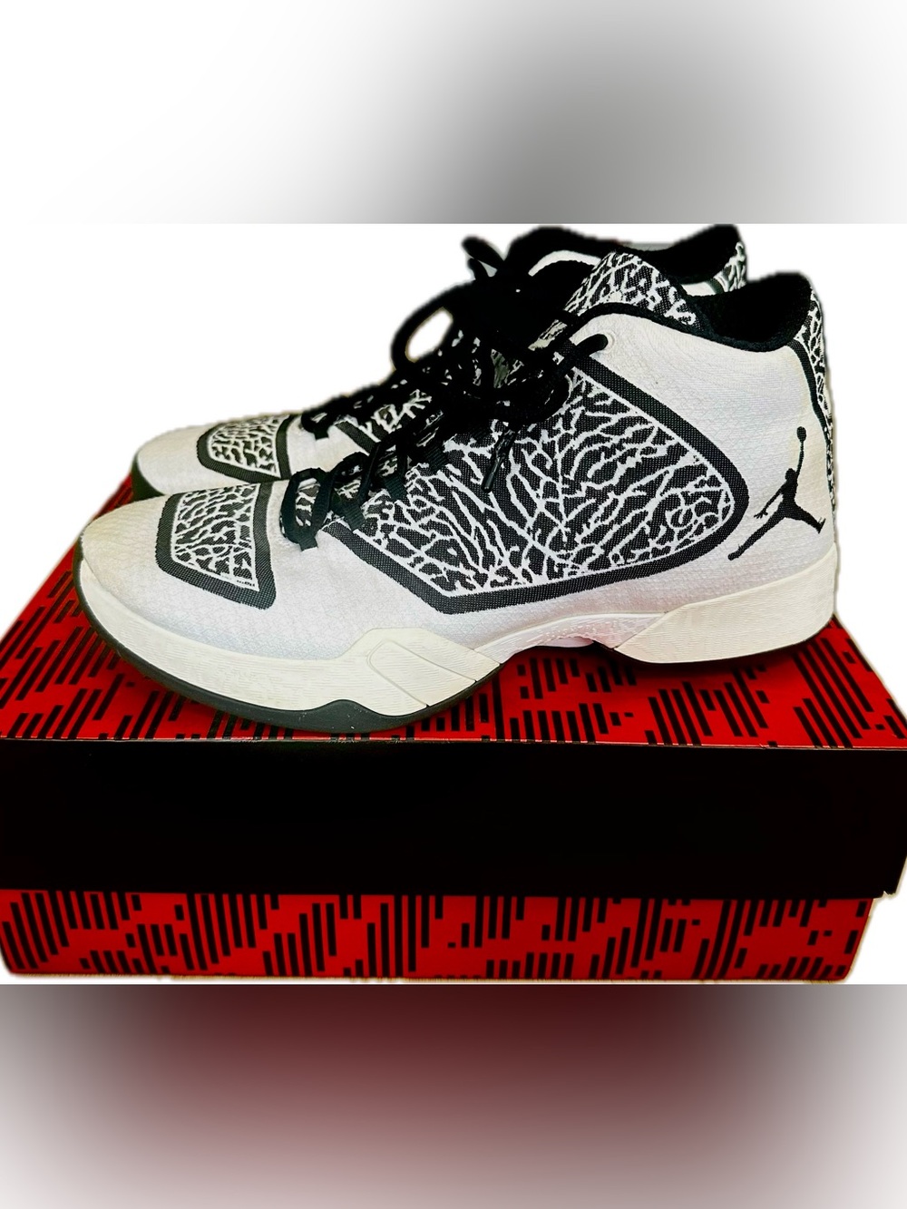 Air Jordan XX9 Men’s Oreo Elephant Black and White 11 With Box